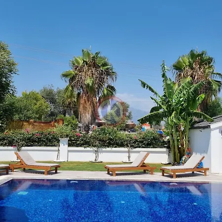 Michael Вилла Дальян